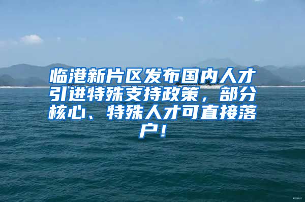 临港新片区发布国内人才引进特殊支持政策，部分核心、特殊人才可直接落户！