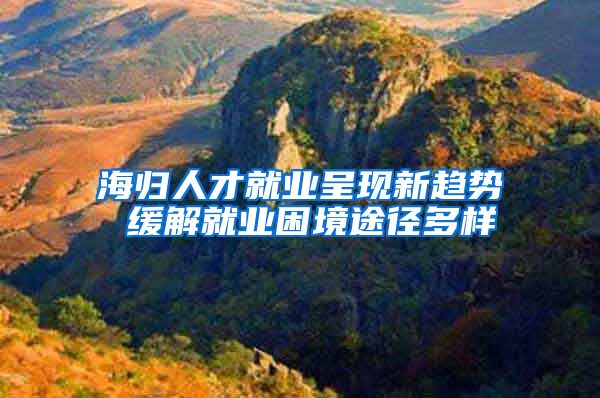 海归人才就业呈现新趋势 缓解就业困境途径多样