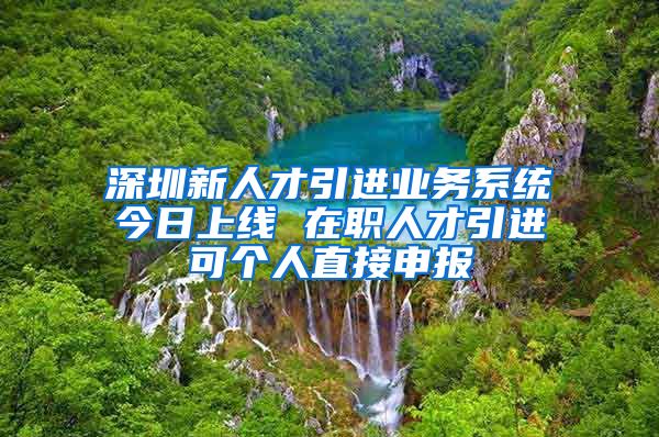 深圳新人才引进业务系统今日上线 在职人才引进可个人直接申报