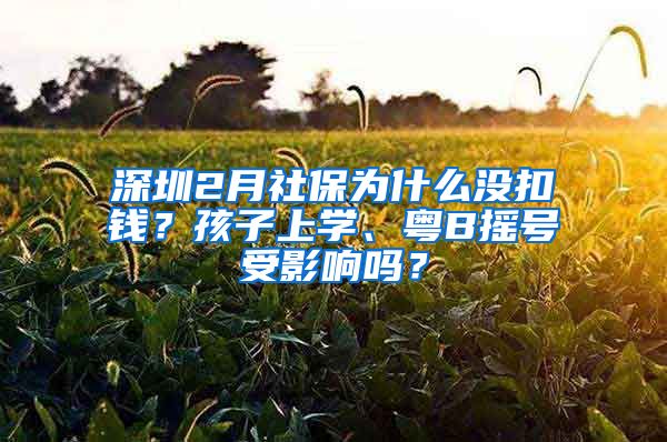 深圳2月社保为什么没扣钱？孩子上学、粤B摇号受影响吗？