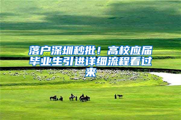 落户深圳秒批！高校应届毕业生引进详细流程看过来
