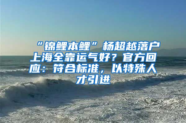 “锦鲤本鲤”杨超越落户上海全靠运气好？官方回应：符合标准，以特殊人才引进