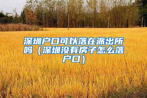 深圳户口可以落在派出所吗（深圳没有房子怎么落户口）