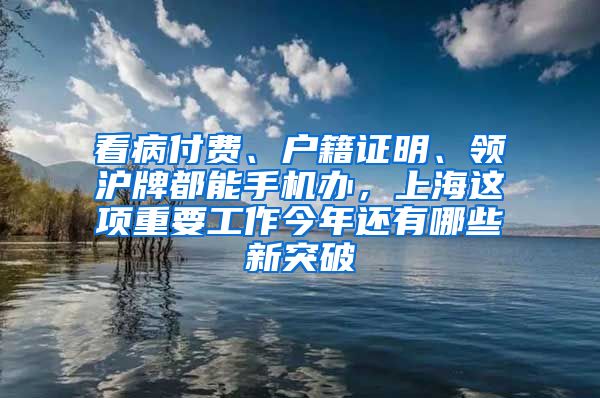 看病付费、户籍证明、领沪牌都能手机办，上海这项重要工作今年还有哪些新突破