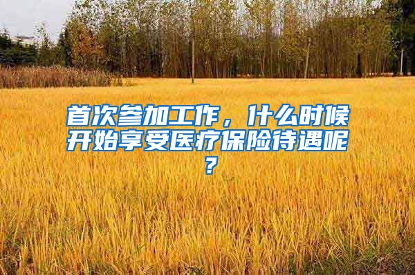 首次参加工作，什么时候开始享受医疗保险待遇呢？