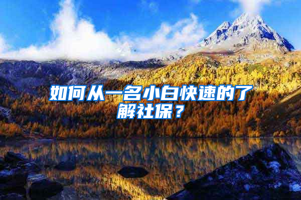 如何从一名小白快速的了解社保？