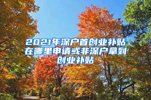 2021年深户首创业补贴在哪里申请或非深户拿到创业补贴