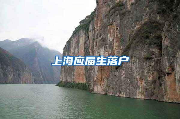 上海应届生落户