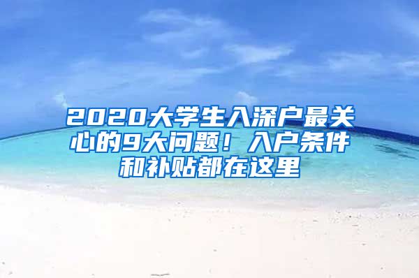 2020大学生入深户最关心的9大问题！入户条件和补贴都在这里