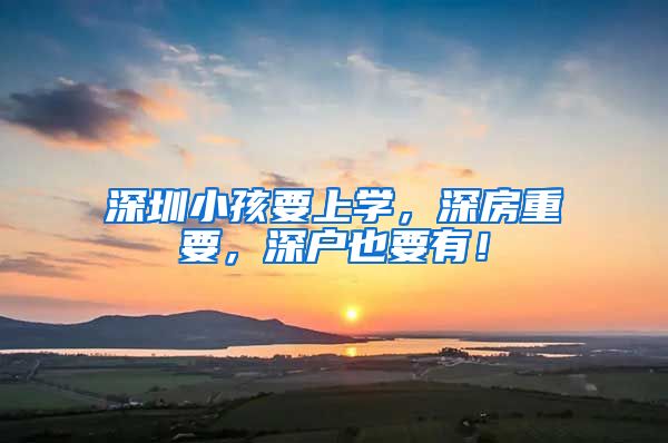深圳小孩要上学，深房重要，深户也要有！