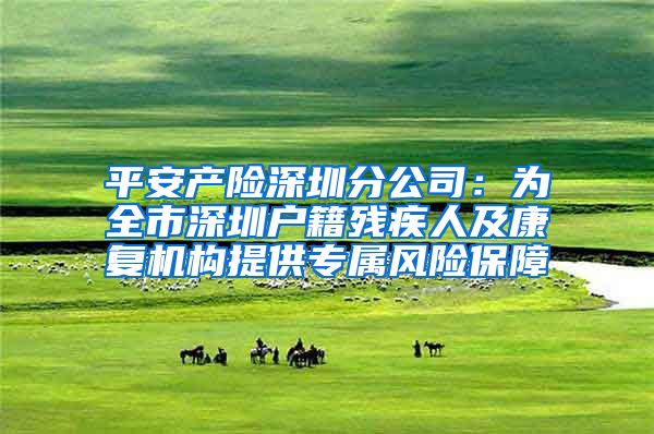 平安产险深圳分公司：为全市深圳户籍残疾人及康复机构提供专属风险保障