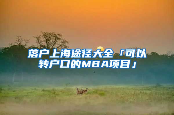 落户上海途径大全「可以转户口的MBA项目」