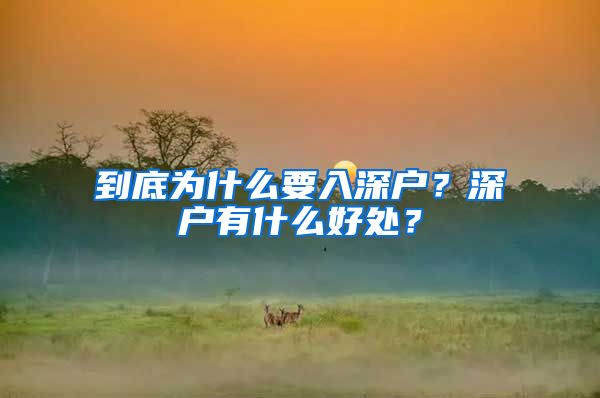 到底为什么要入深户？深户有什么好处？