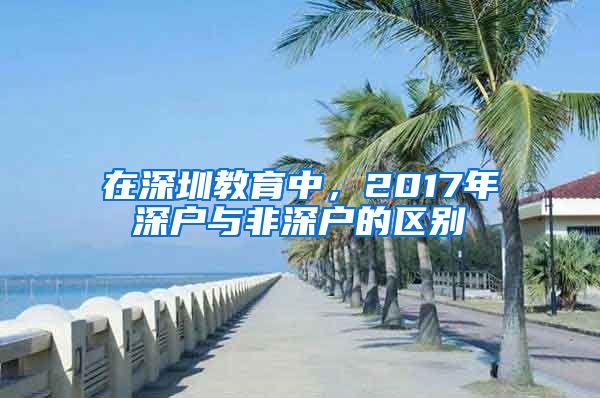 在深圳教育中，2017年深户与非深户的区别