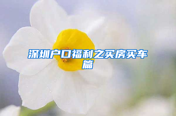 深圳户口福利之买房买车篇