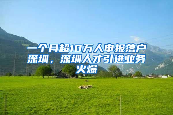 一个月超10万人申报落户深圳，深圳人才引进业务火爆
