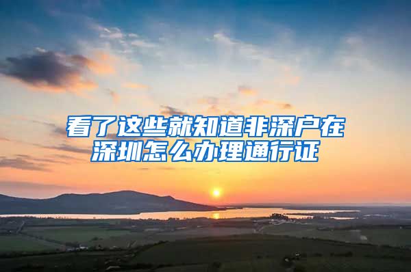 看了这些就知道非深户在深圳怎么办理通行证