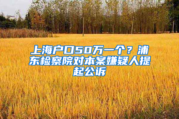 上海户口50万一个？浦东检察院对本案嫌疑人提起公诉