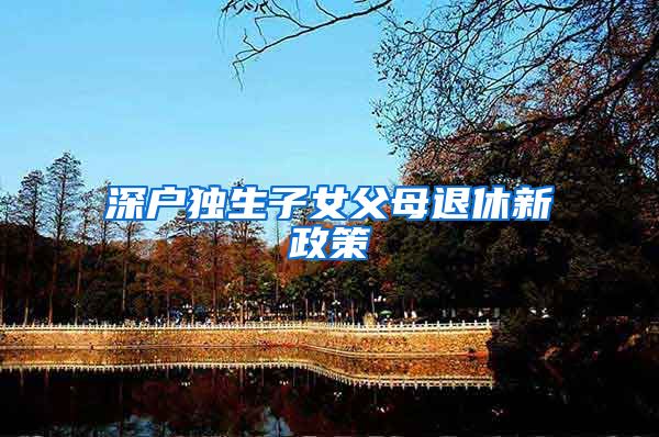 深户独生子女父母退休新政策