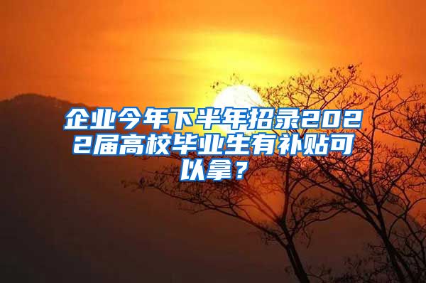 企业今年下半年招录2022届高校毕业生有补贴可以拿？