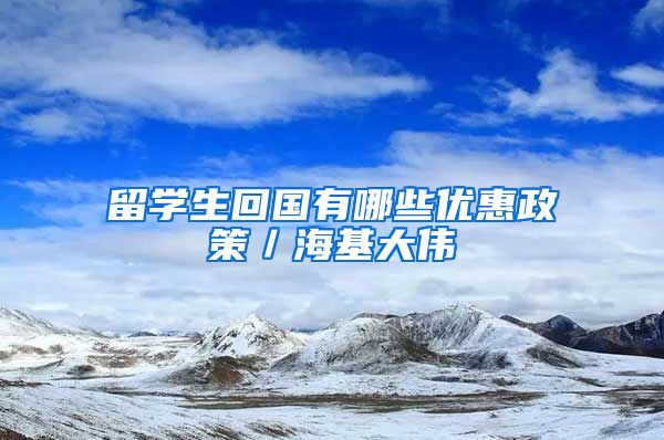留学生回国有哪些优惠政策／海基大伟