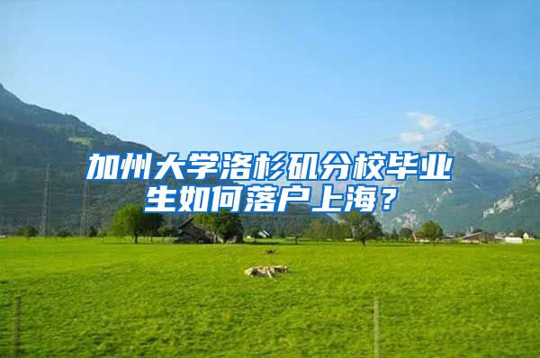 加州大学洛杉矶分校毕业生如何落户上海？