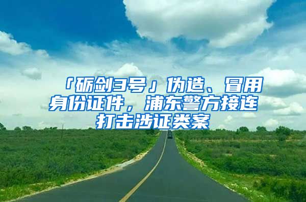 「砺剑3号」伪造、冒用身份证件，浦东警方接连打击涉证类案