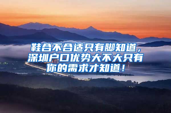 鞋合不合适只有脚知道，深圳户口优势大不大只有你的需求才知道！