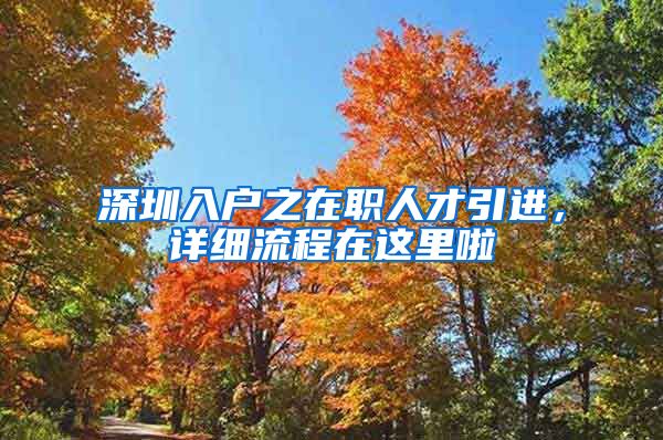 深圳入户之在职人才引进，详细流程在这里啦