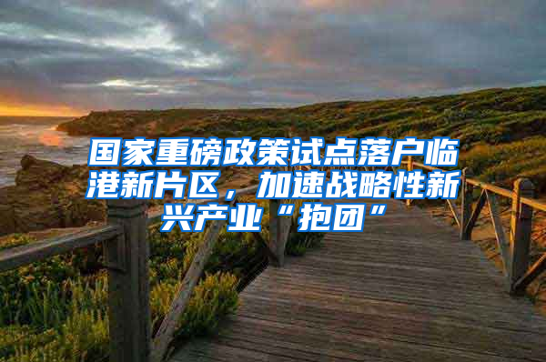 国家重磅政策试点落户临港新片区，加速战略性新兴产业“抱团”