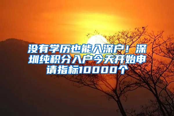 没有学历也能入深户！深圳纯积分入户今天开始申请指标10000个