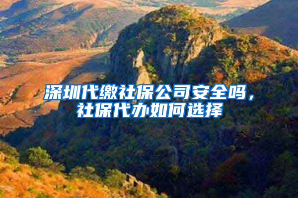 深圳代缴社保公司安全吗，社保代办如何选择