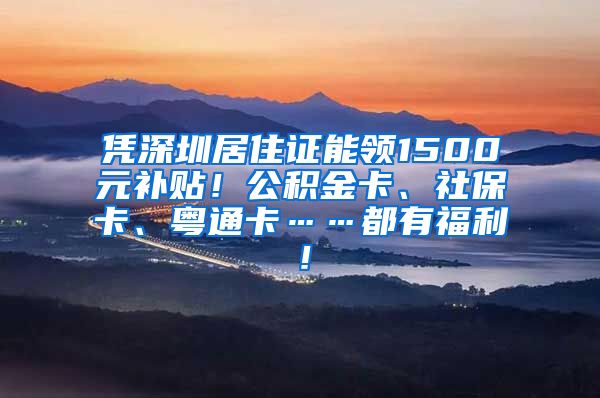 凭深圳居住证能领1500元补贴！公积金卡、社保卡、粤通卡……都有福利！