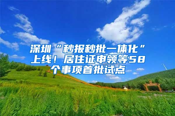 深圳“秒报秒批一体化”上线！居住证申领等58个事项首批试点