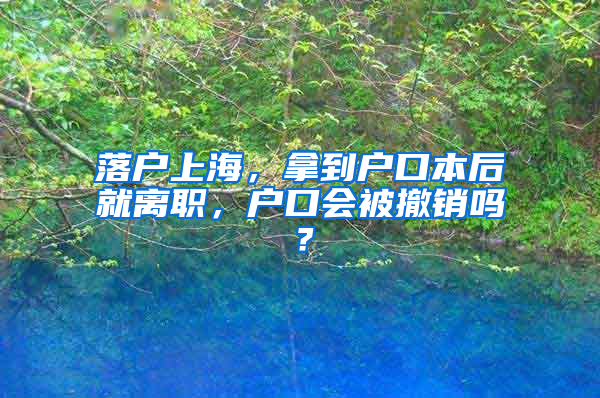 落户上海，拿到户口本后就离职，户口会被撤销吗？