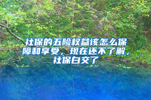 社保的五险权益该怎么保障和享受，现在还不了解，社保白交了