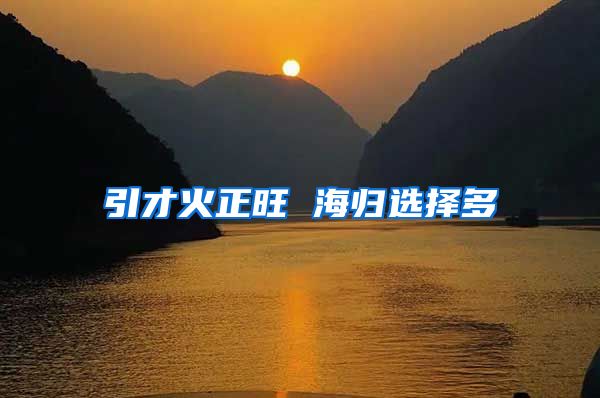 引才火正旺 海归选择多