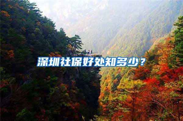 深圳社保好处知多少？