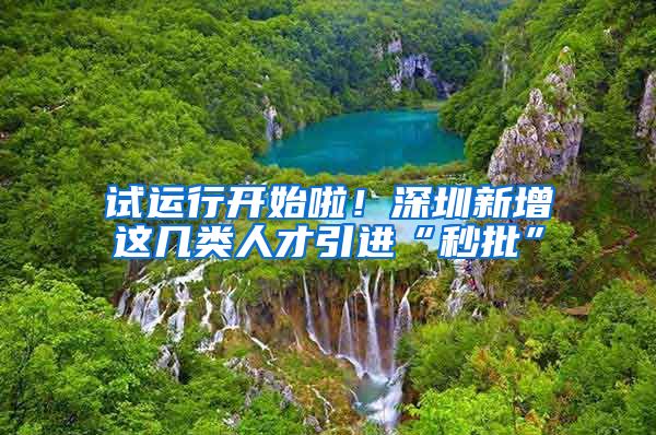 试运行开始啦！深圳新增这几类人才引进“秒批”