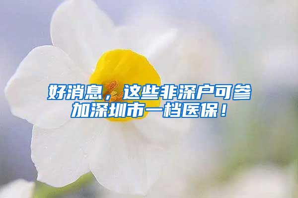 好消息，这些非深户可参加深圳市一档医保！