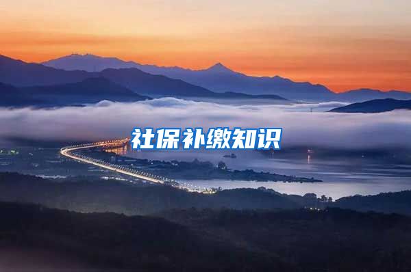 社保补缴知识