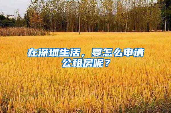 在深圳生活，要怎么申请公租房呢？