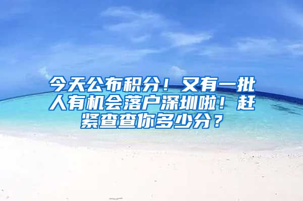 今天公布积分！又有一批人有机会落户深圳啦！赶紧查查你多少分？