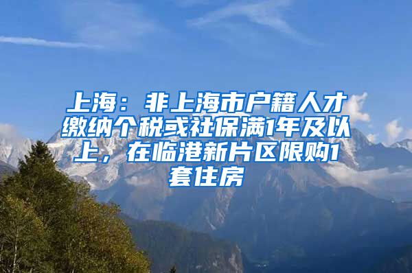 上海：非上海市户籍人才缴纳个税或社保满1年及以上，在临港新片区限购1套住房