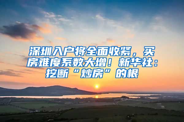 深圳入户将全面收紧，买房难度系数大增！新华社：挖断“炒房”的根