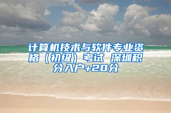计算机技术与软件专业资格（初级）考试 深圳积分入户+20分