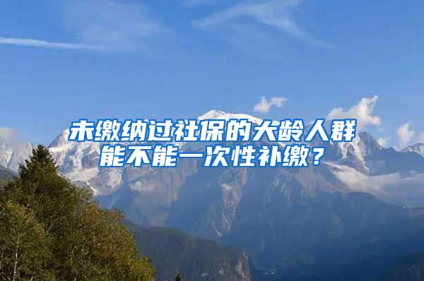 未缴纳过社保的大龄人群能不能一次性补缴？