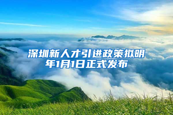 深圳新人才引进政策拟明年1月1日正式发布