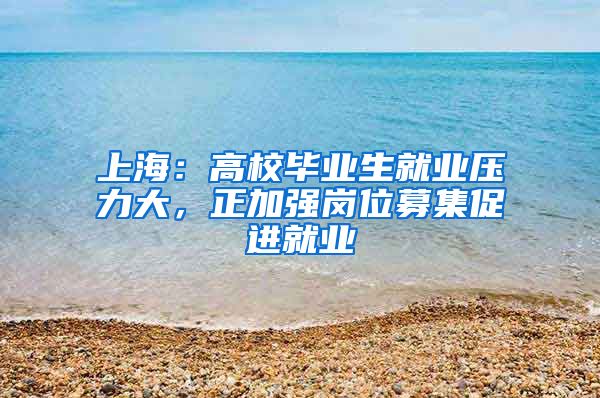 上海：高校毕业生就业压力大，正加强岗位募集促进就业
