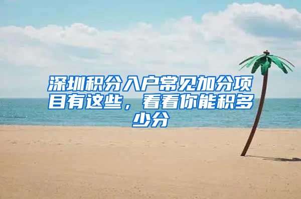 深圳积分入户常见加分项目有这些，看看你能积多少分